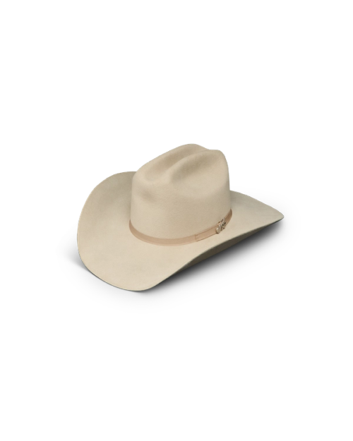 21b4db98bde7f1804f9ca8a5f0cab33d2cab809f-2000x2500-1.png