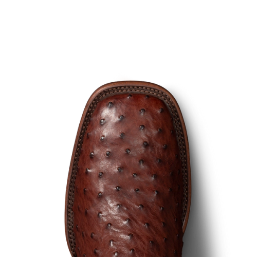 2659cf1501f970b68cae32eb560e0b35d7068cb4-2000x2000-1.png