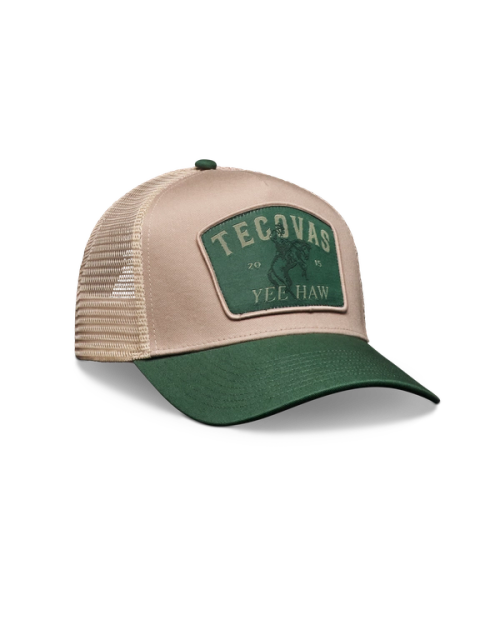 c1c80406c95464dab04c20c747f4d87ab105efcf-2000x2500-1.png