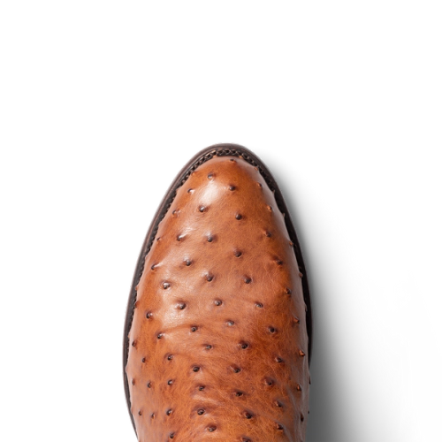 ddfaa3648ec09bc7c8d98d45b62284887c3b2e57-2000x2000-1.png